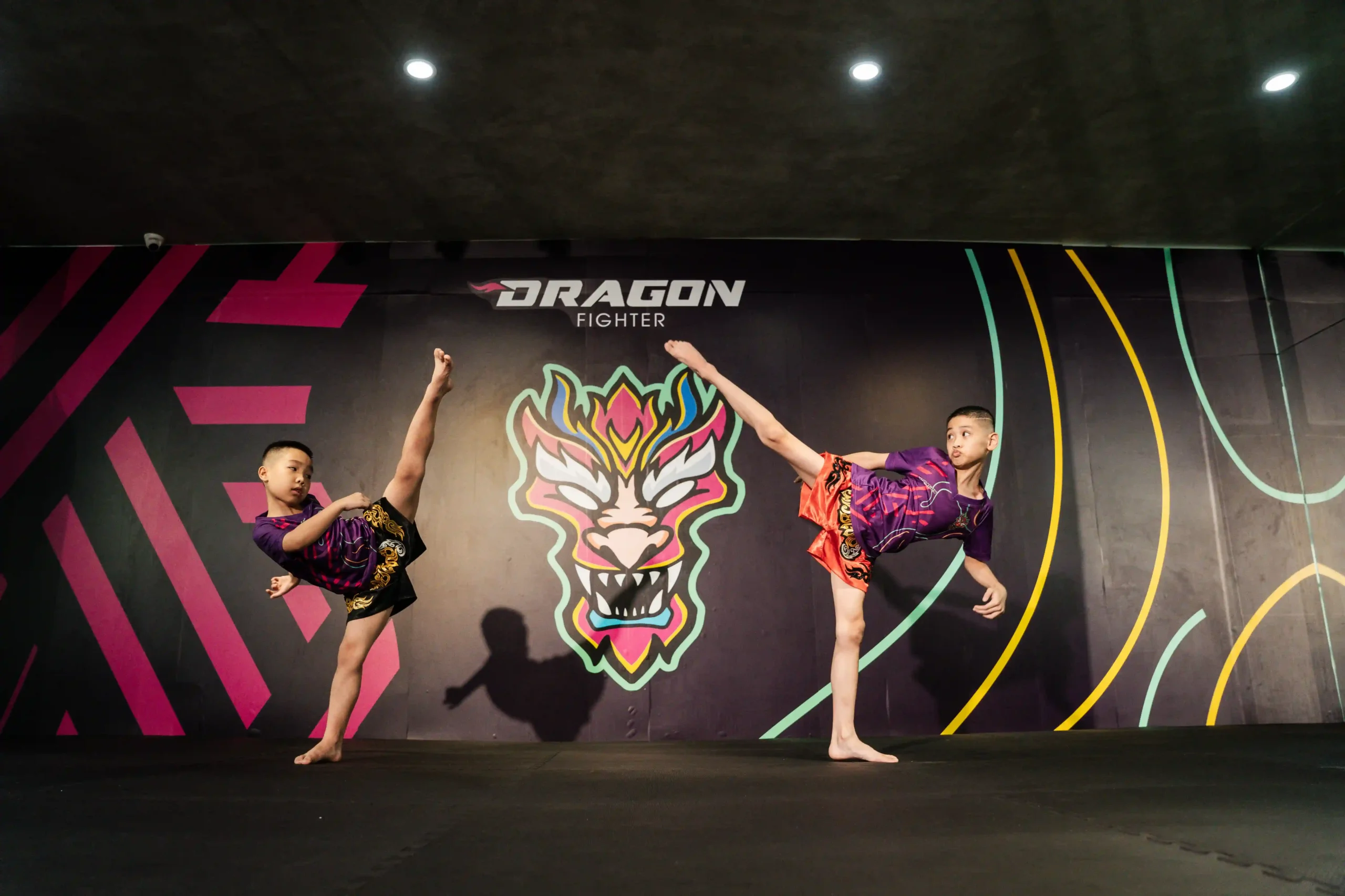 Dragon Fighter