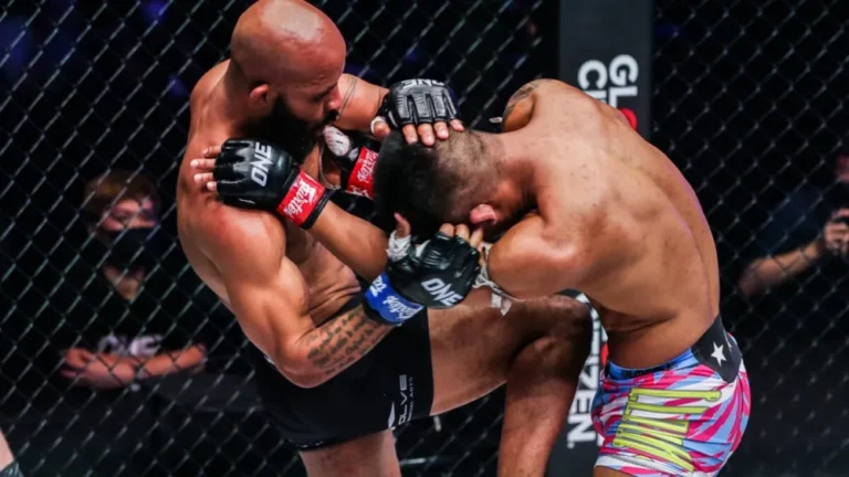 13 Of The Best MMA Fighters With 1