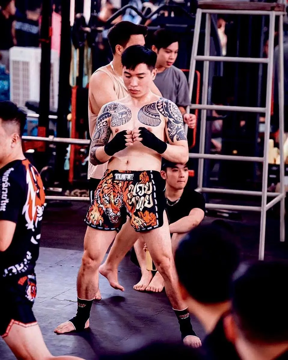 449203427 8137701482908788 47072