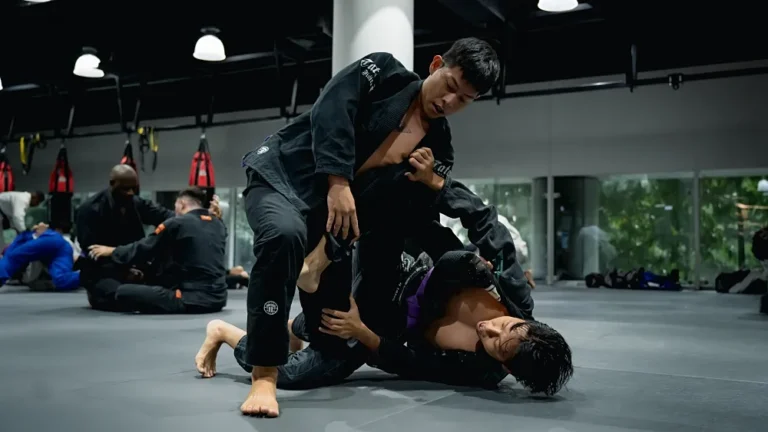 bjj technique 8