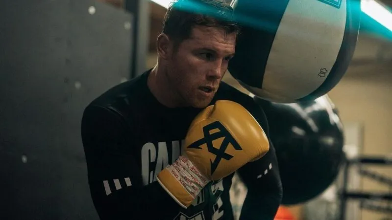 canelo cross arm 800x450 1