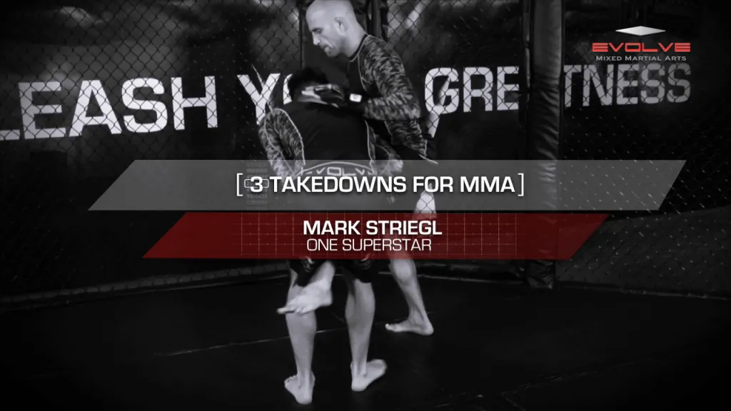 3 takedowns for mma 00002 1024x5 1