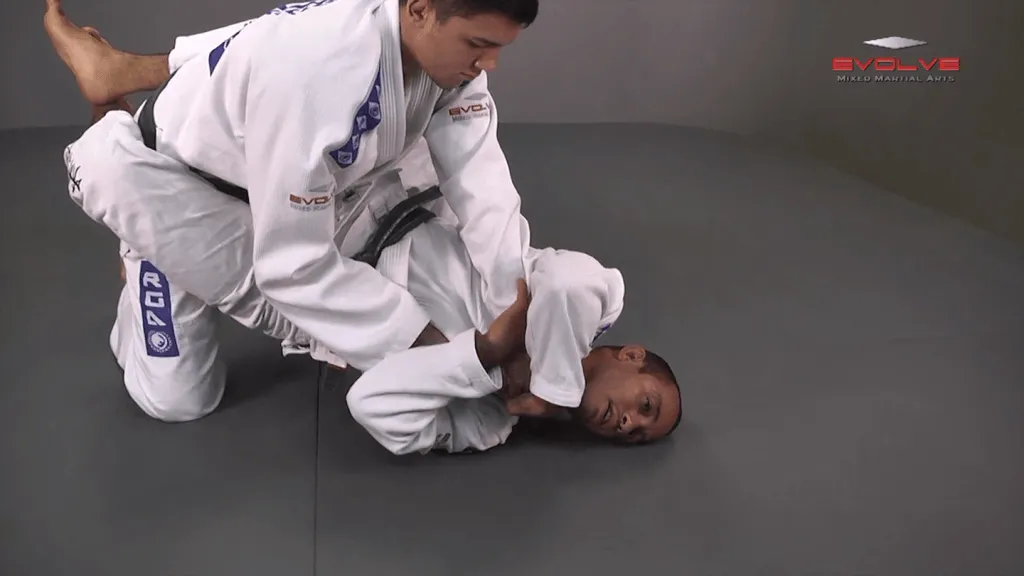 defense against amassa pao 00016