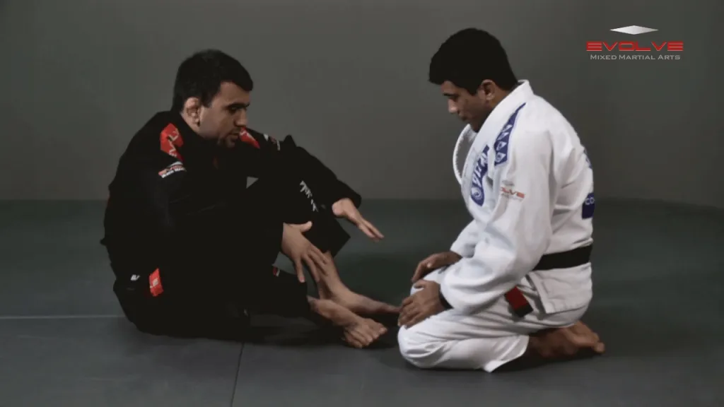 eu bjj butterfly guard basic pos