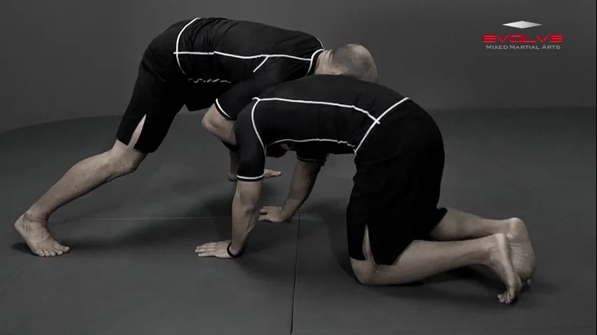 front headlock nearside cradle 0