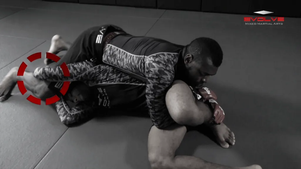 single leg defense 00019 1024x57 1