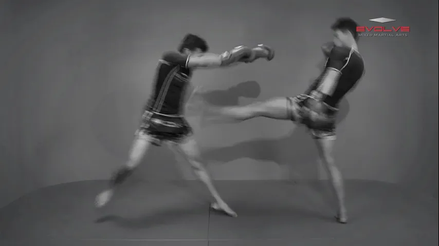 sllide back defense 00026
