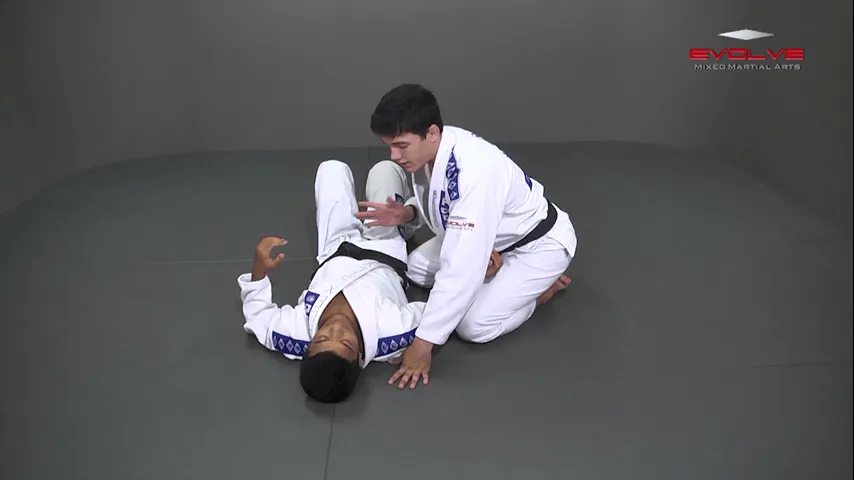 spider guard 00033