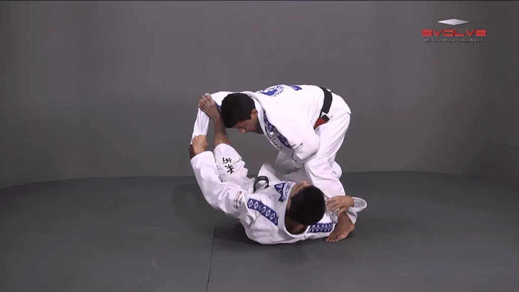 spider guard to spring sweep 000
