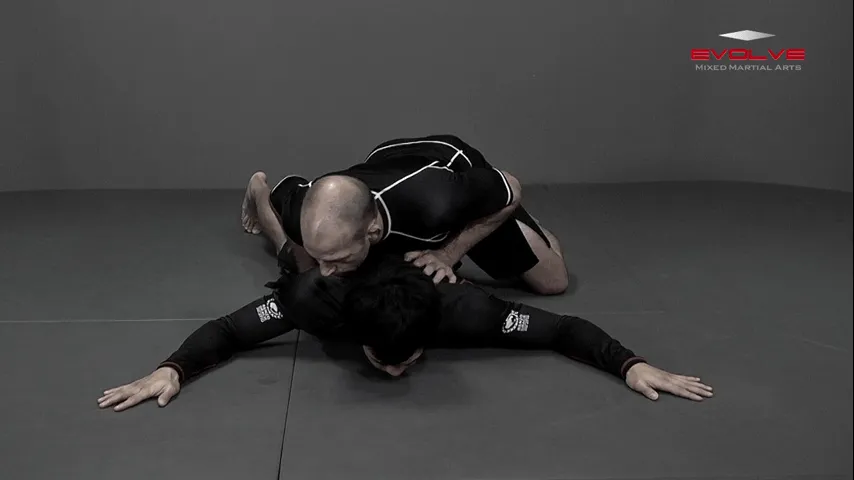 top position chicken wing 00025