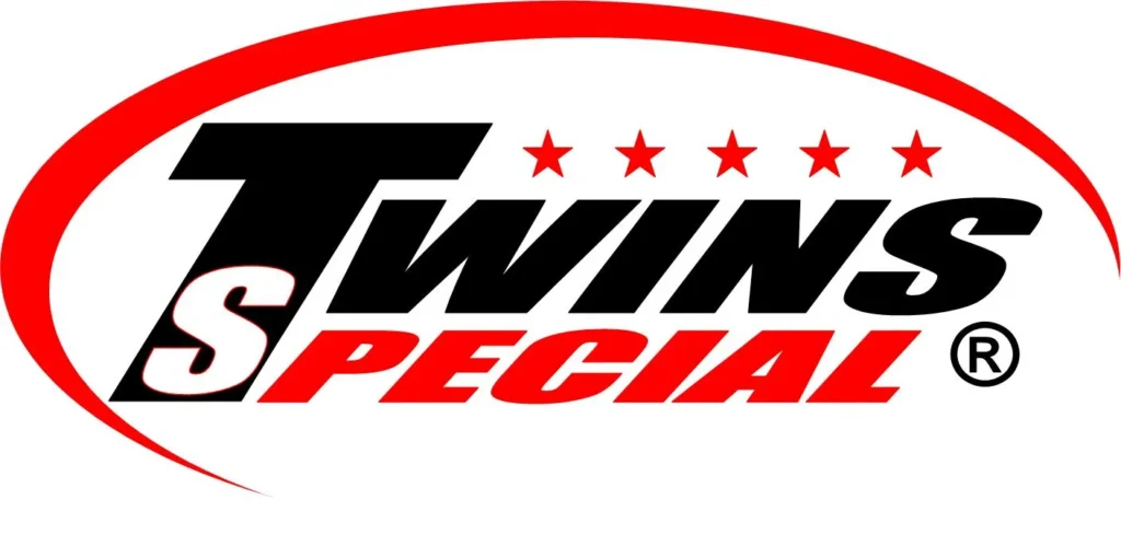 twins logo