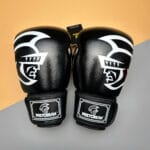 Găng tay Boxing Pretorian