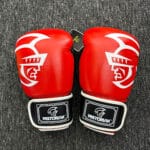 Găng tay Boxing Pretorian