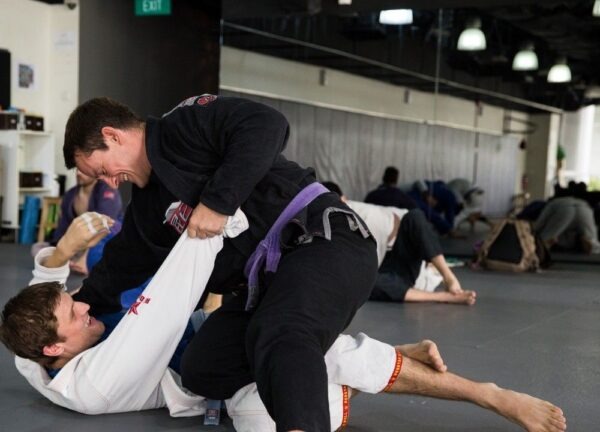 BJJ purple 600x432 1