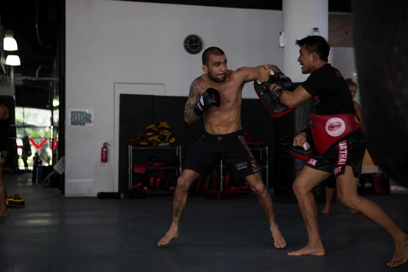 brodinho punch
