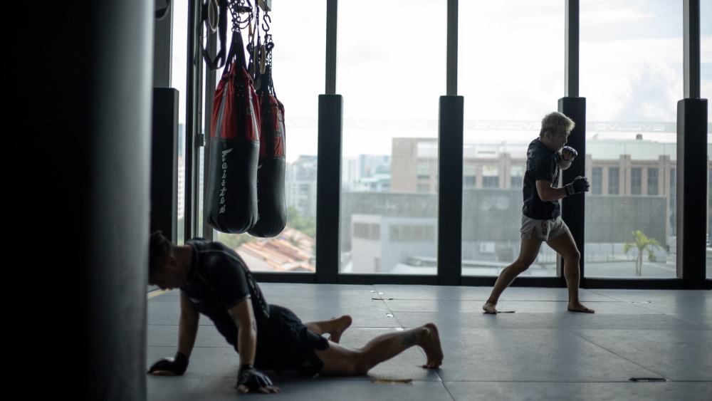 fundamental concepts of mma training