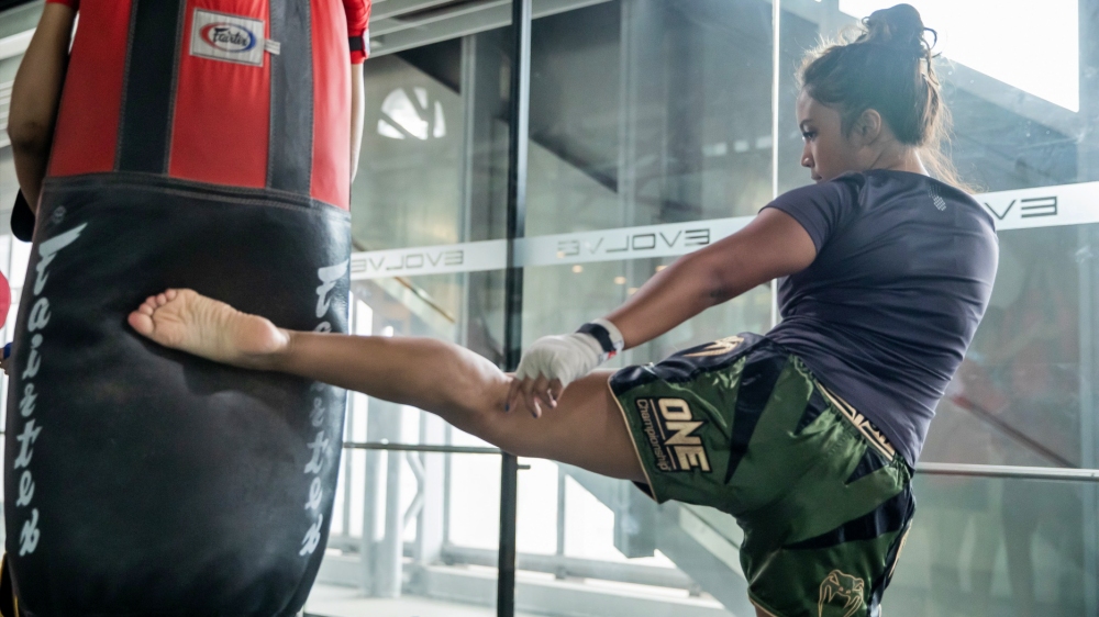 muay thai bag roundhouse kick