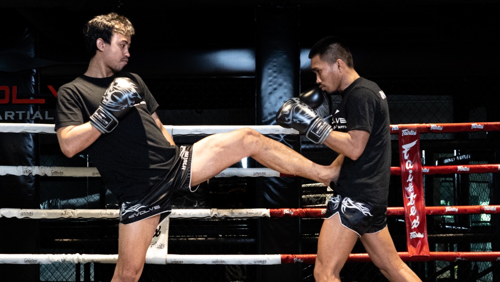 muay thai push kick 1