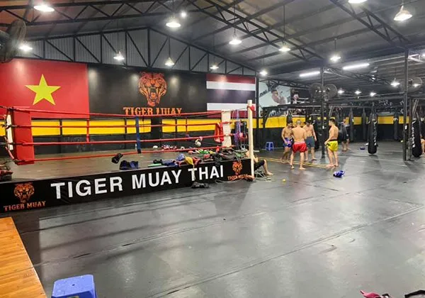 tiger muay camp