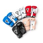 Găng Tay Boxing BN Beetles